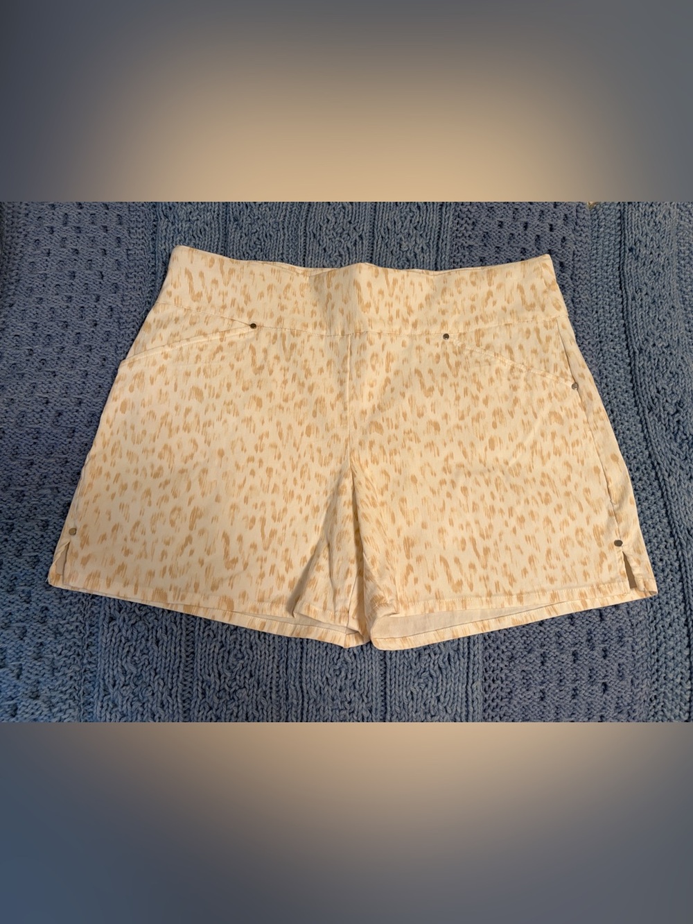🩳 Women’s INC Shorts